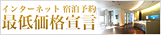 �C���^�[�l�b�g�h���\��Œቿ�i�錾