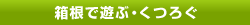 �����ŗV�ԁE���낮